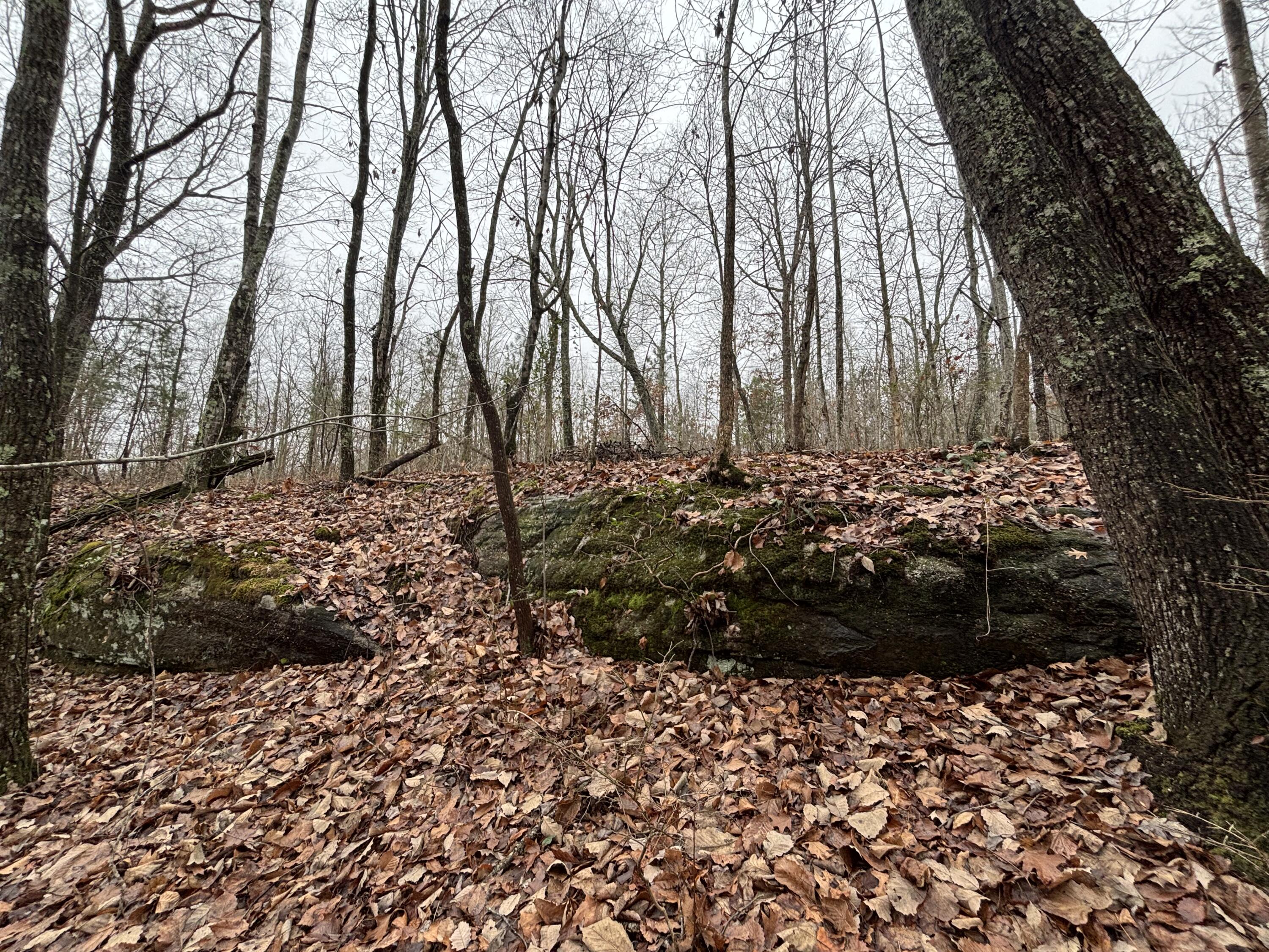 3699 Crockett Pointe Jasper, TN 37347 - Photo 7 of 74 IMG_7514