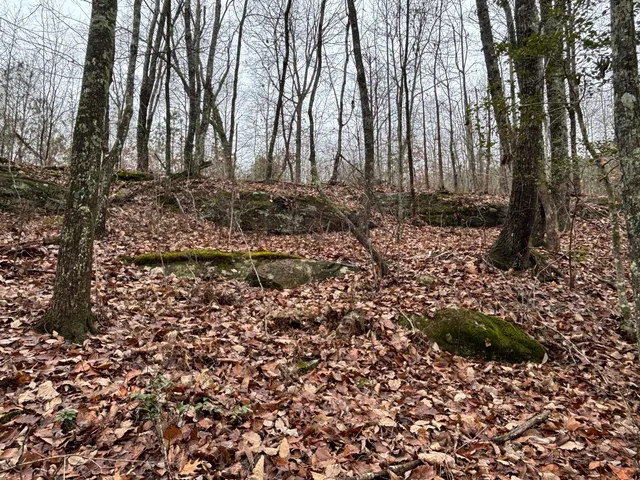 $129,900 | 3699 Crockett Pointe, Jasper, TN 37347