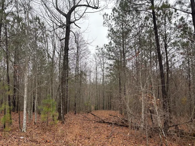 $129,900 | 3699 Crockett Pointe, Jasper, TN 37347