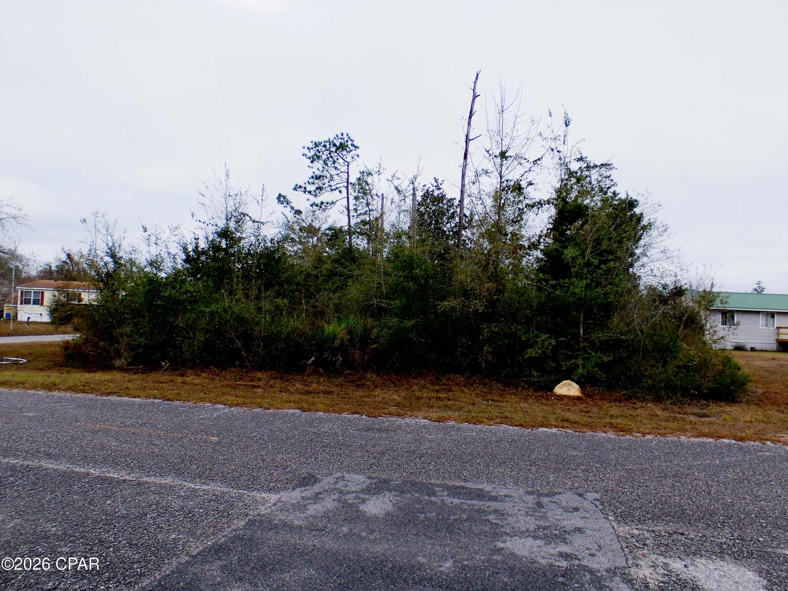 0 Klondyke Road Youngstown, FL 32466 - Photo 2 of 12