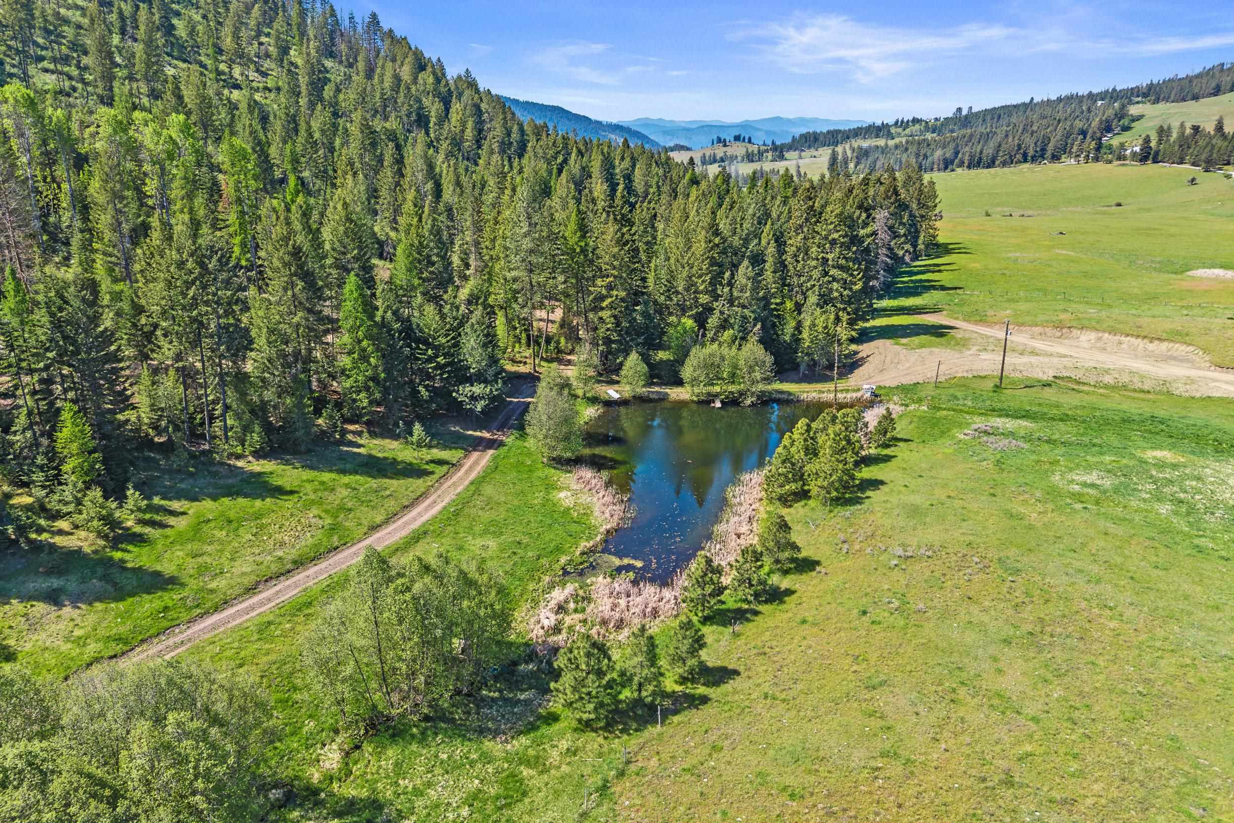 3114 Old Baldy Road Rice, WA 99167 - Photo 15 of 48