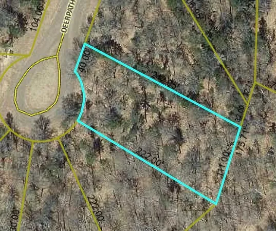 $5,995 | Lot 207 Deerpath Terrace, Danbury, WI 54830