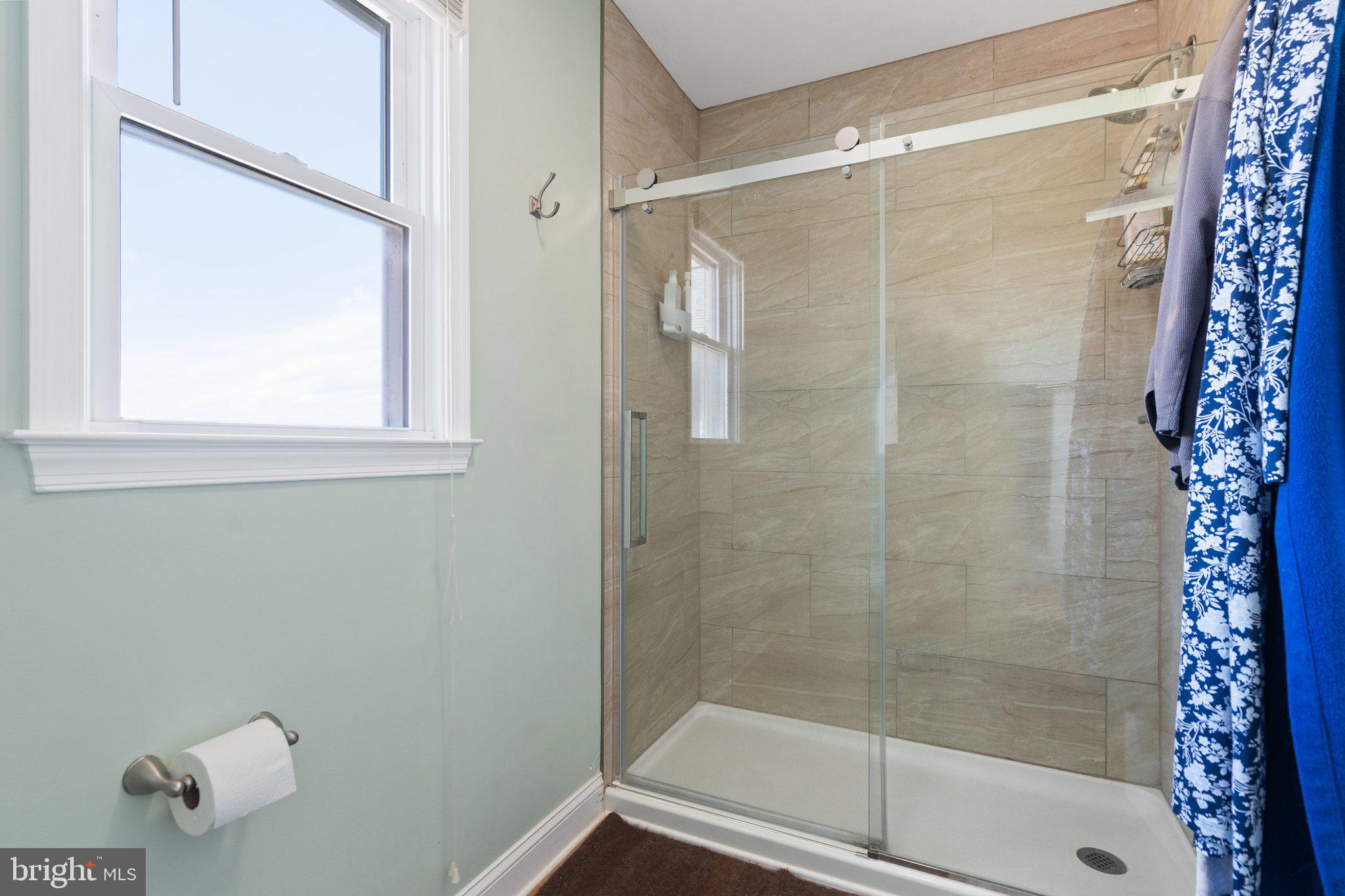 9107 Grasty Gold Mine Road Rhoadesville, VA 22542 - Photo 24 of 54 Primary Shower