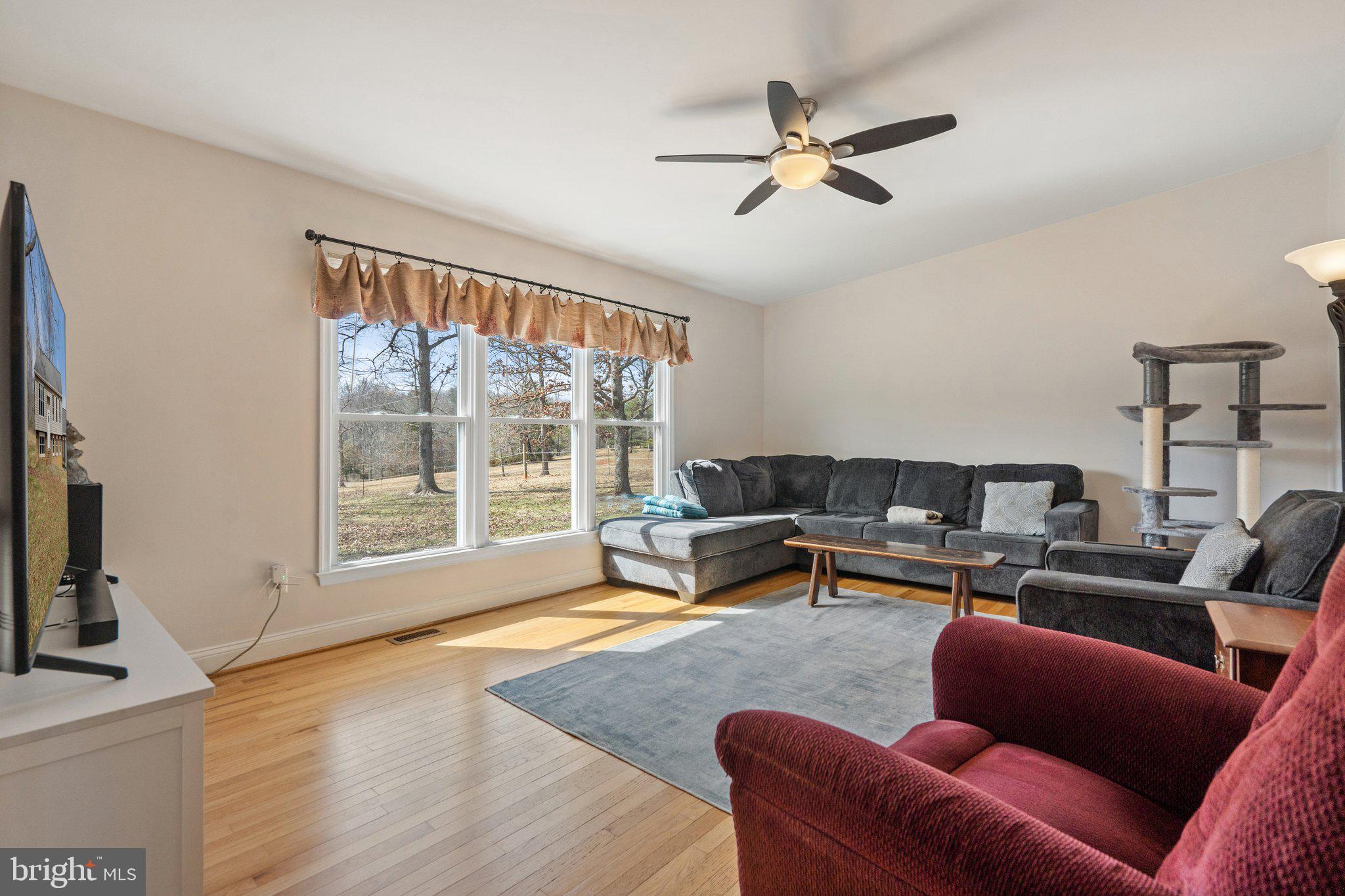 9107 Grasty Gold Mine Road Rhoadesville, VA 22542 - Photo 10 of 54 Living room