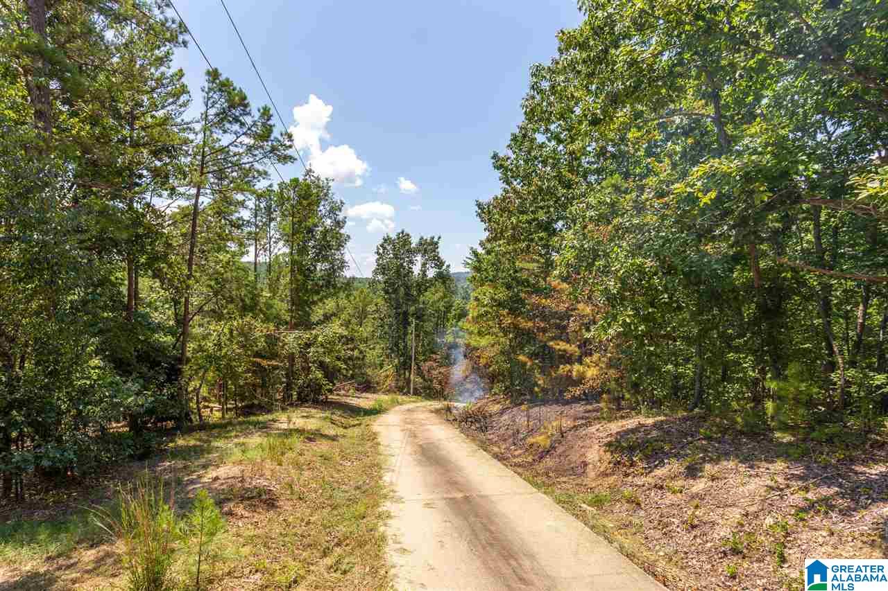 1494 Kimberly Road Piedmont, AL 36272 - Photo 29 of 33 Gallery Image 29