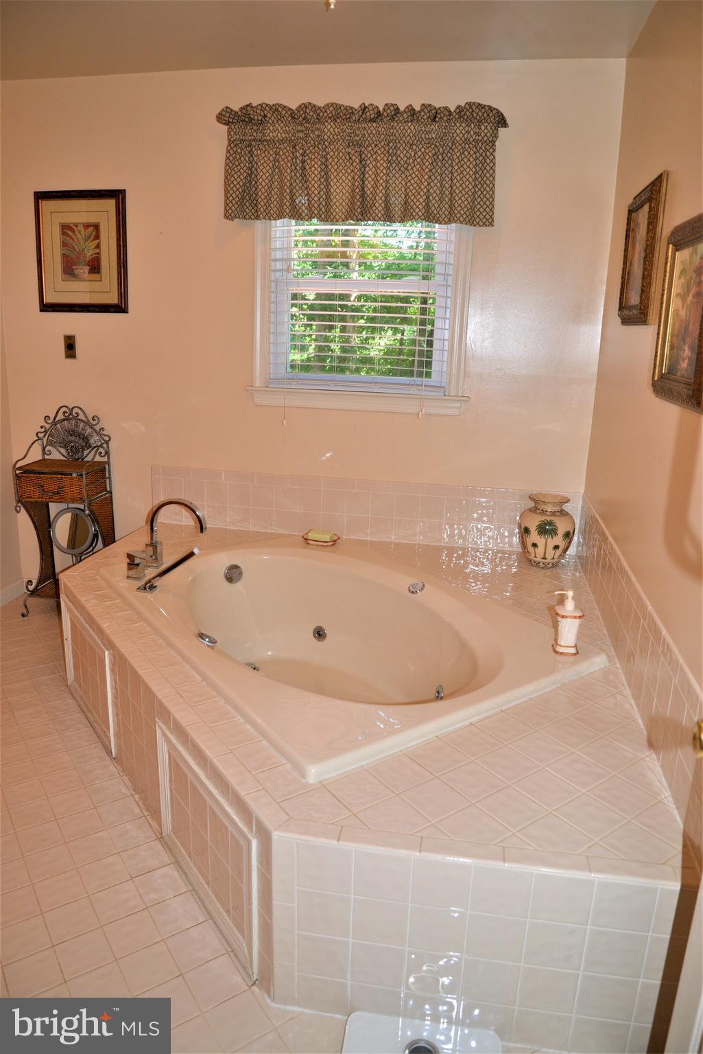 11 Ridgeway Road Stafford, VA 22556 - Photo 25 of 61 Spa Soaking Tub