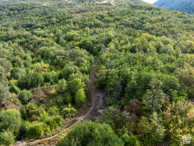 4993 North Powder Mountain Road Eden, UT 84310 - Photo 26 of 35
