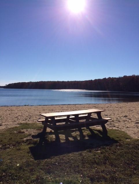 24 Hilltop Road Mashpee, MA 02649 - Photo 38 of 42 picnic bench john pond