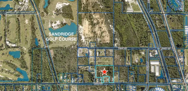 a view of yard with trees