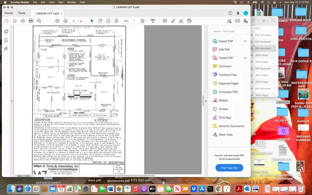 a view of a forest with trees in the background