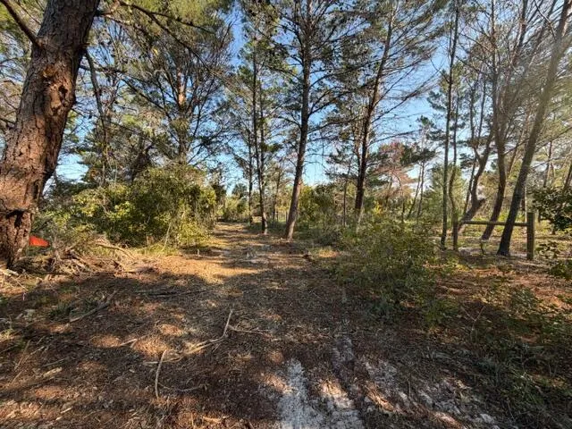 an aerial view of residential houses with outdoor space and trees