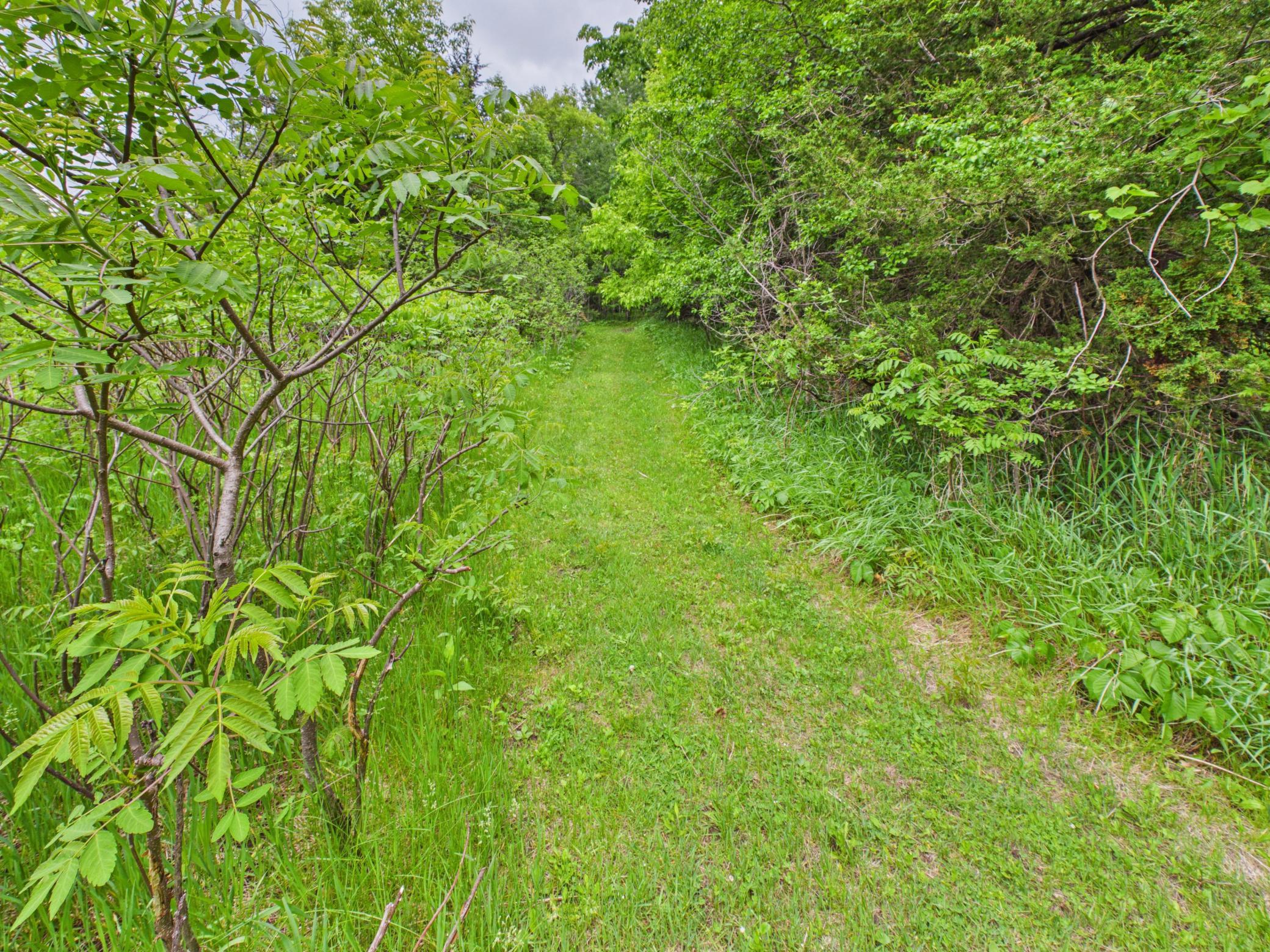 4498 Avery Road Burtrum, MN 56318 - Photo 56 of 65