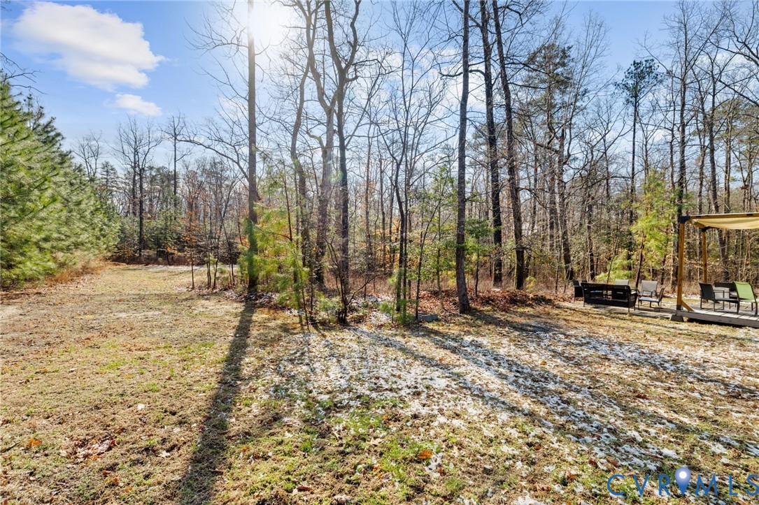 14221 Rockyrun Road Chesterfield, VA 23838 - Photo 31 of 31