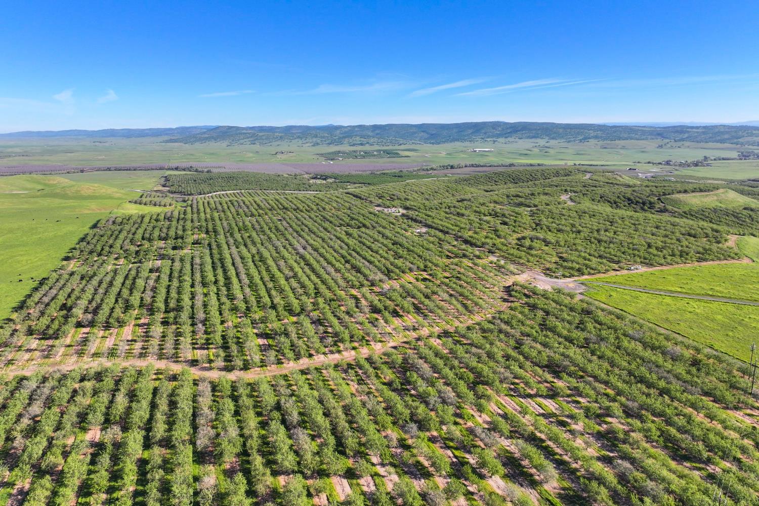 0 East Sonora Road Oakdale, CA 95361 - Photo 6 of 12 a view of an ocean