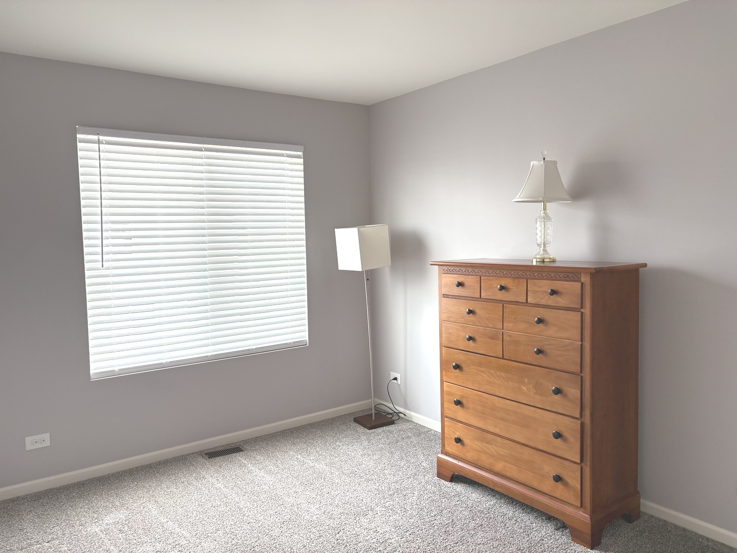 582 Spring Leaf Drive Joliet, IL 60431 - Photo 19 of 25 a view of room with window and cabinet