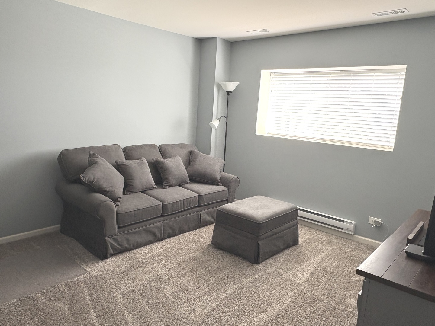 582 Spring Leaf Drive Joliet, IL 60431 - Photo 22 of 25 a living room with furniture