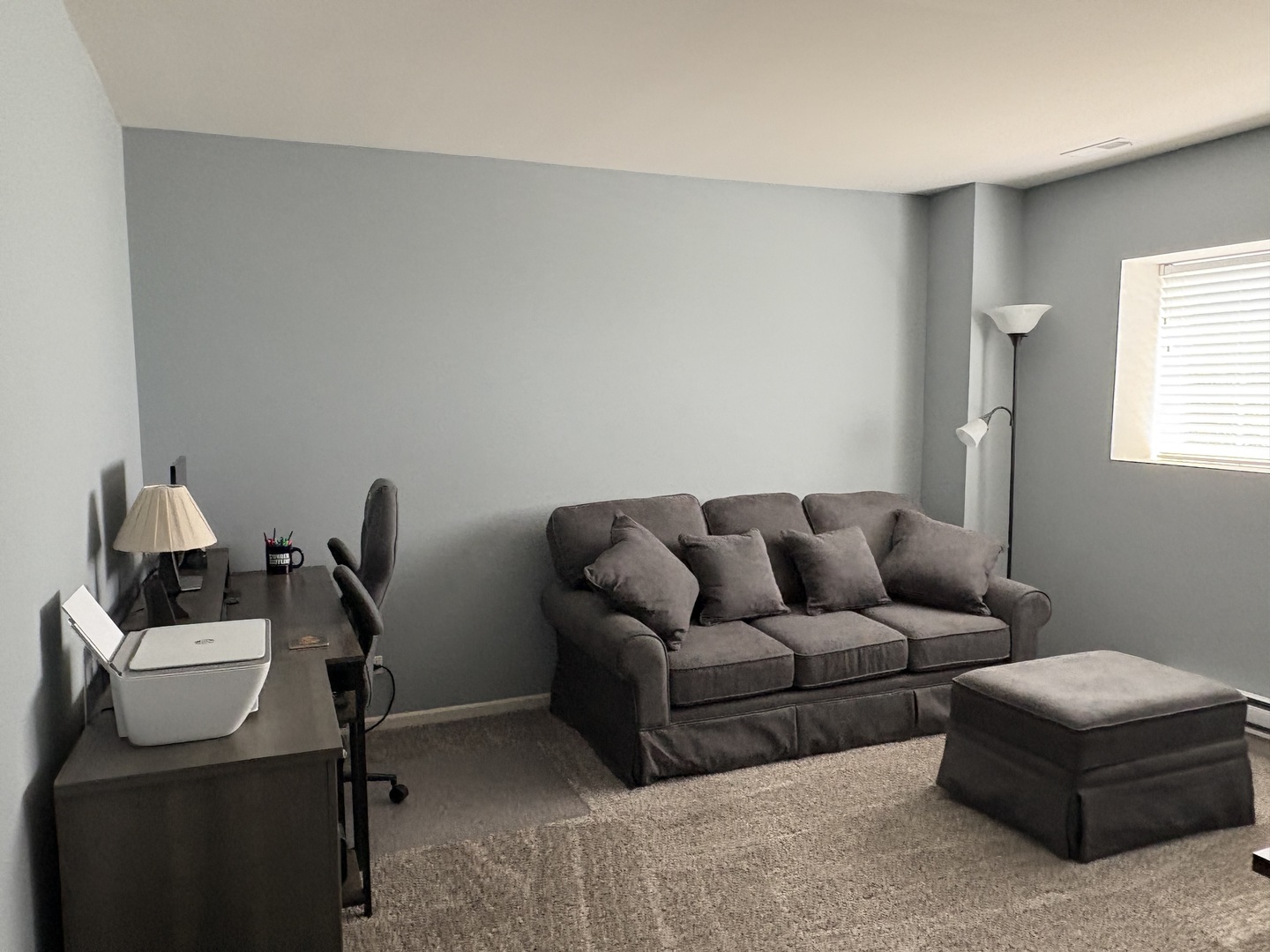582 Spring Leaf Drive Joliet, IL 60431 - Photo 23 of 25 a living room with furniture a window and a lamp