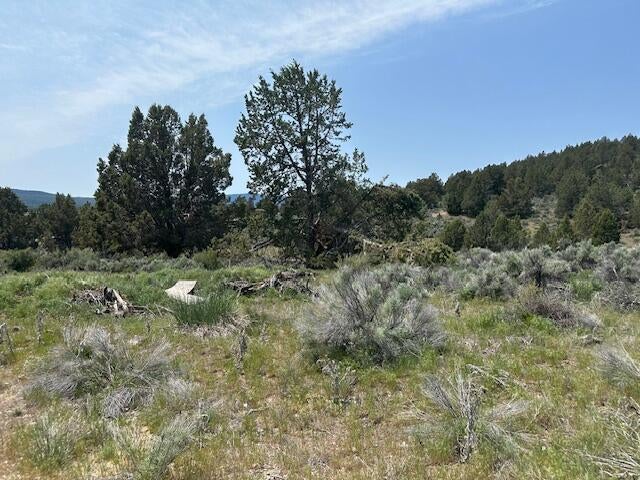Lassen Street Chiloquin, OR 97624 - Photo 3 of 3 IMG_8394