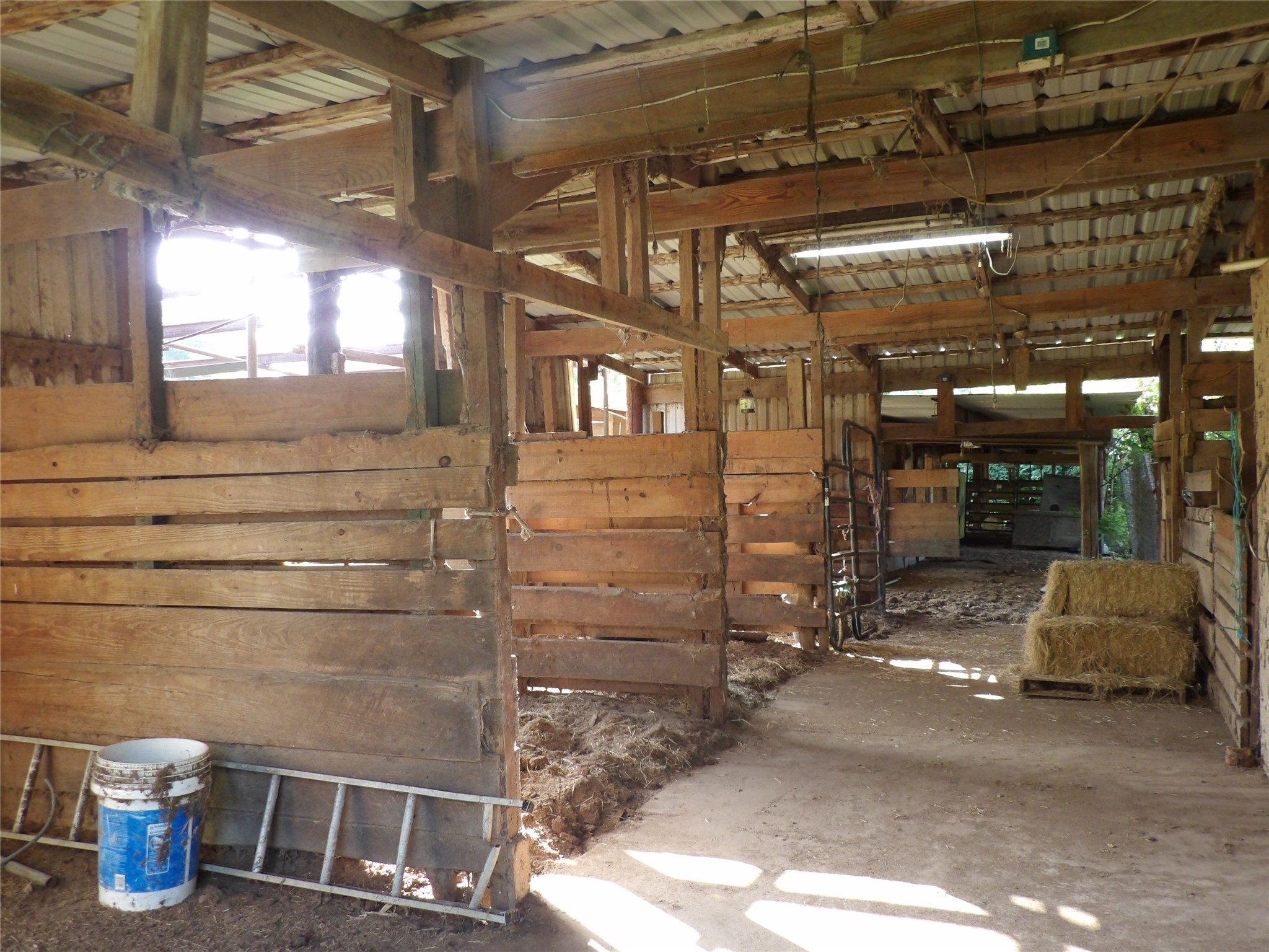 26318 Hardin Store Road Magnolia, TX 77354 - Photo 21 of 21