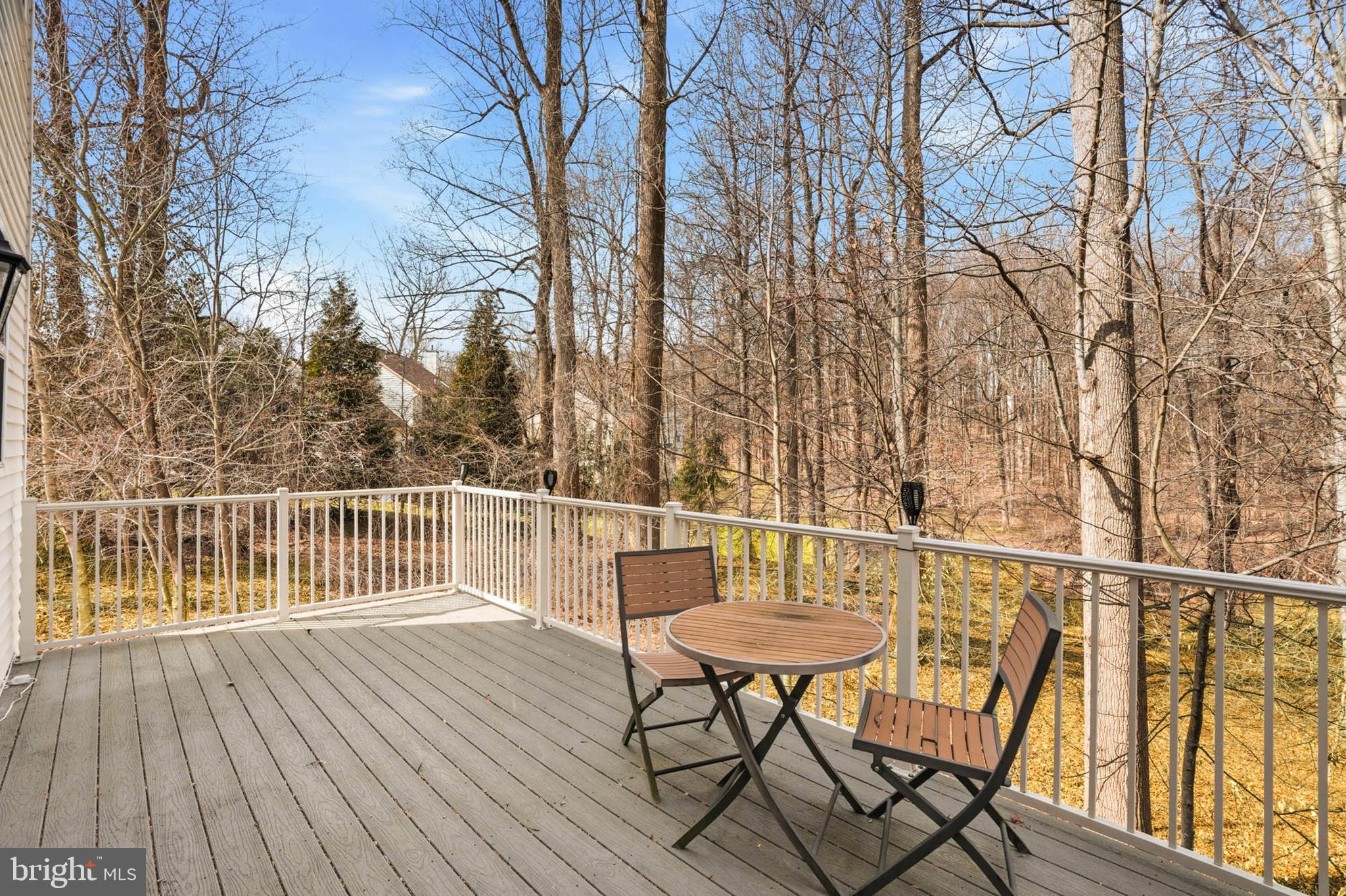 9390 Rock Ripple Lane Laurel, MD 20723 - Photo 32 of 36