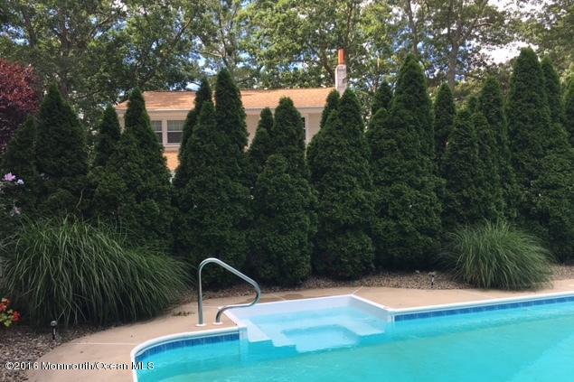 109 Salem Road Brick, NJ 08724 - Photo 6 of 35 Swimout seat with jets