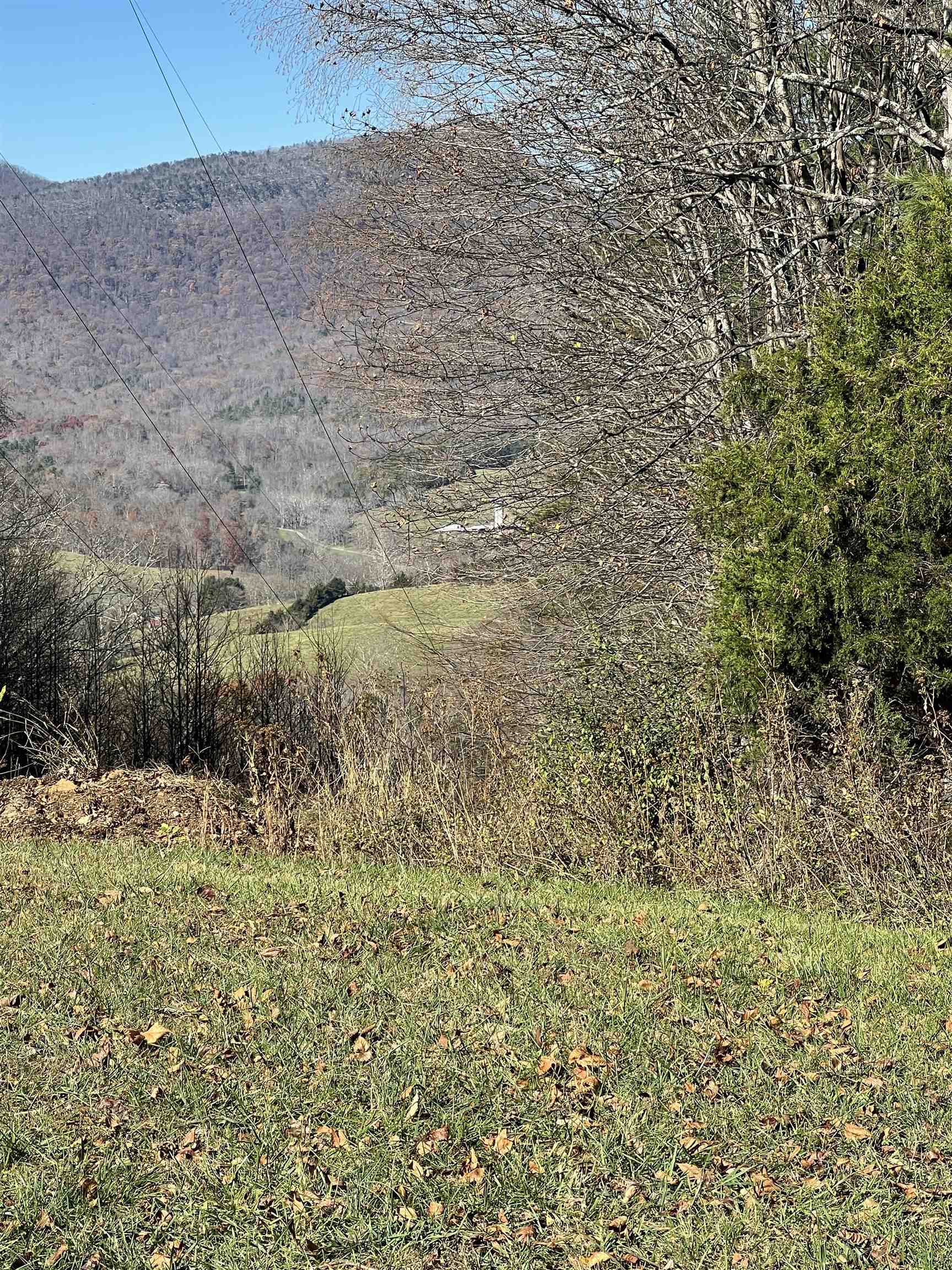 Tbd Anderson Farm Road Rockbridge Baths, VA 24473 - Photo 2 of 4 a view of a dry yard with wooden floor