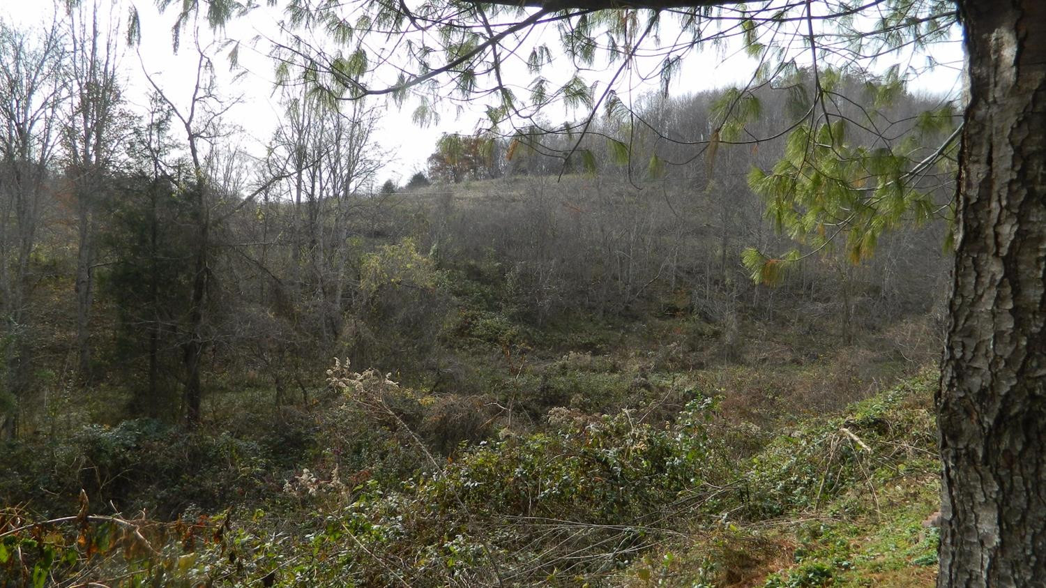 589 Judd Road Booneville, KY 41314 - Photo 7 of 67 Photo 7