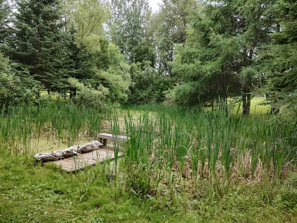 3542 Silver Lake Road Saranac, NY 12981 - Photo 47 of 67 Gallery Image 47