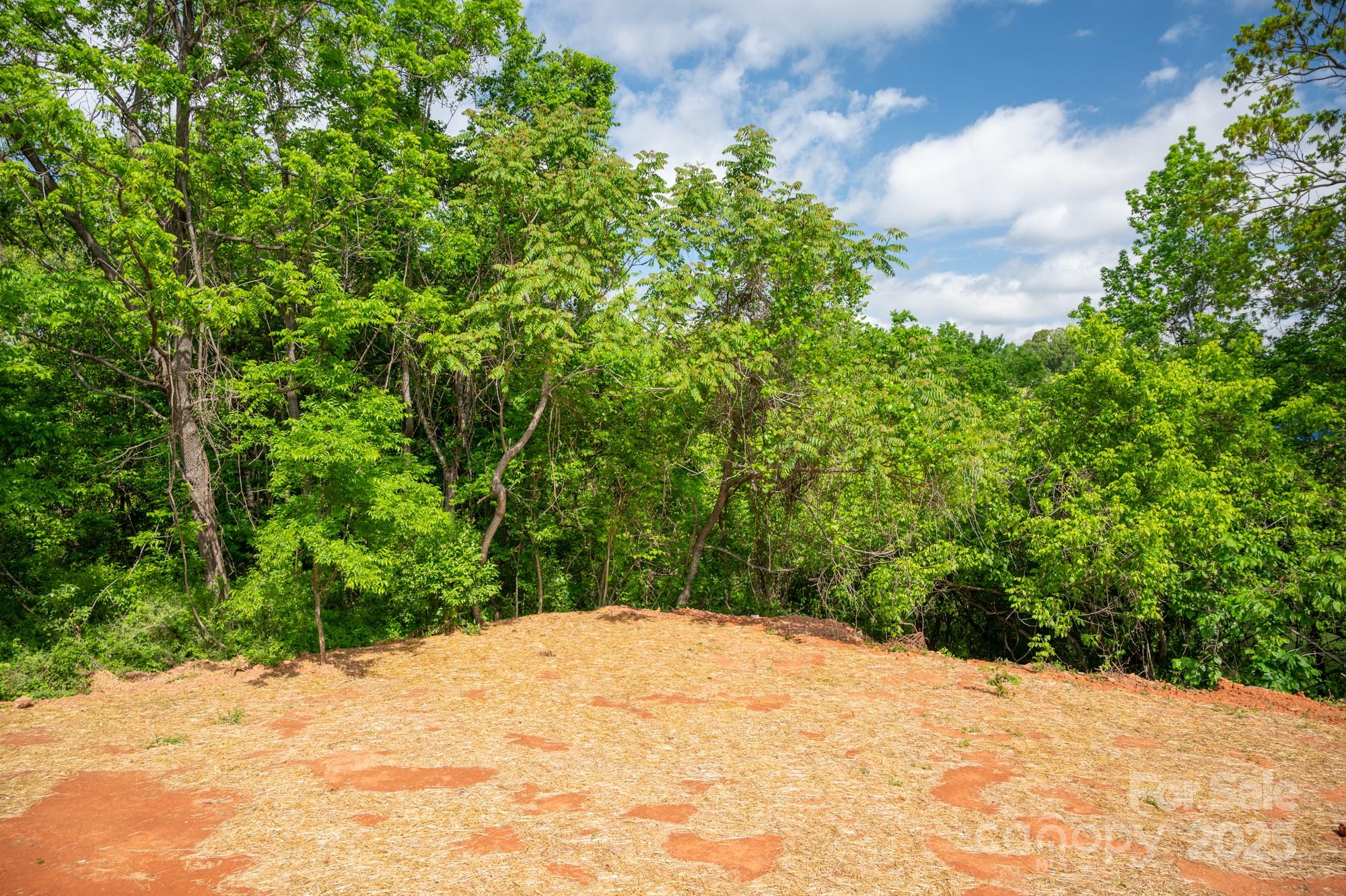 43 Robbins Circle Lexington, NC 27292 - Photo 25 of 28 a view of a backyard of the house