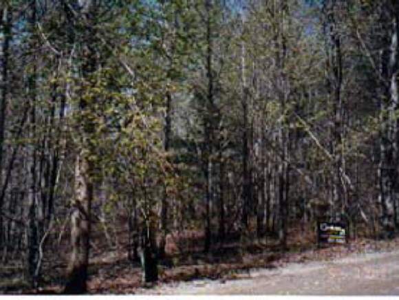Lot 7 Winch Hill Road Roxbury, VT 05669 - Photo 1 of 2 Gallery Image 1