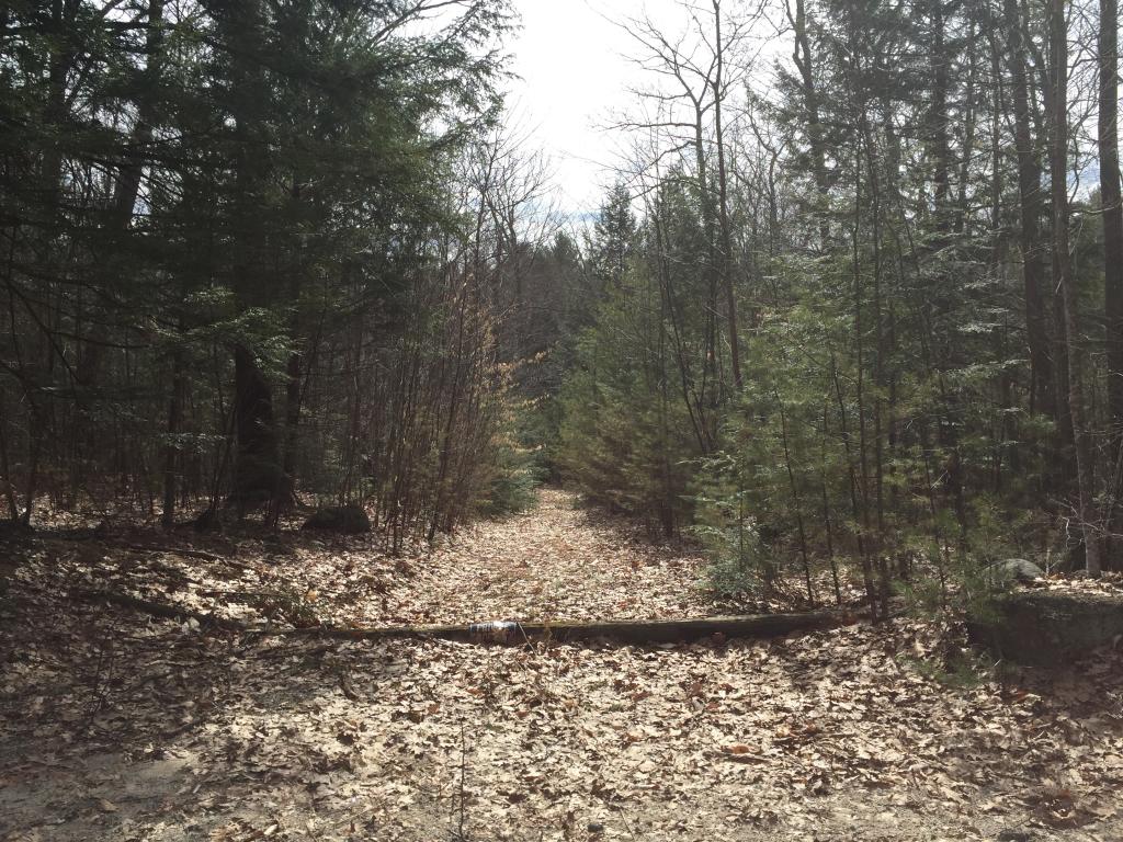 Lot #1 River Road Antrim, NH 03440 - Photo 3 of 10