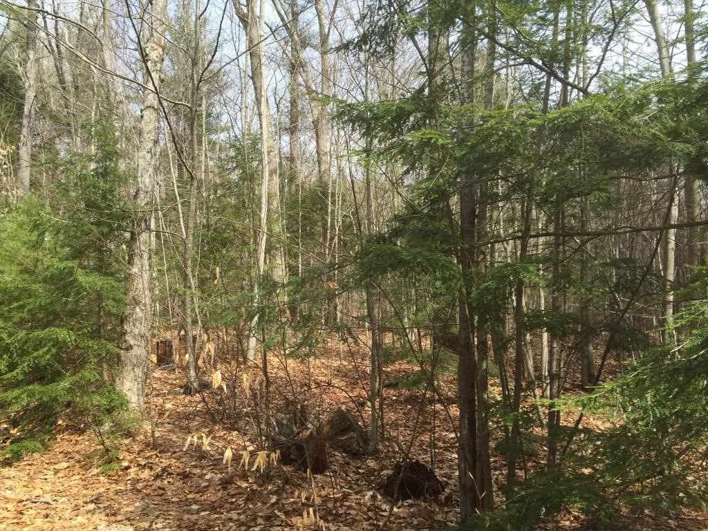 Lot #1 River Road Antrim, NH 03440 - Photo 4 of 10
