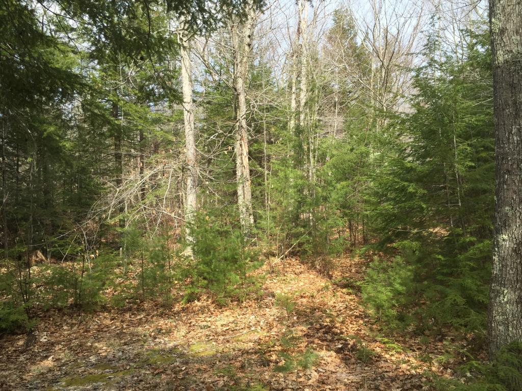 Lot #1 River Road Antrim, NH 03440 - Photo 8 of 10