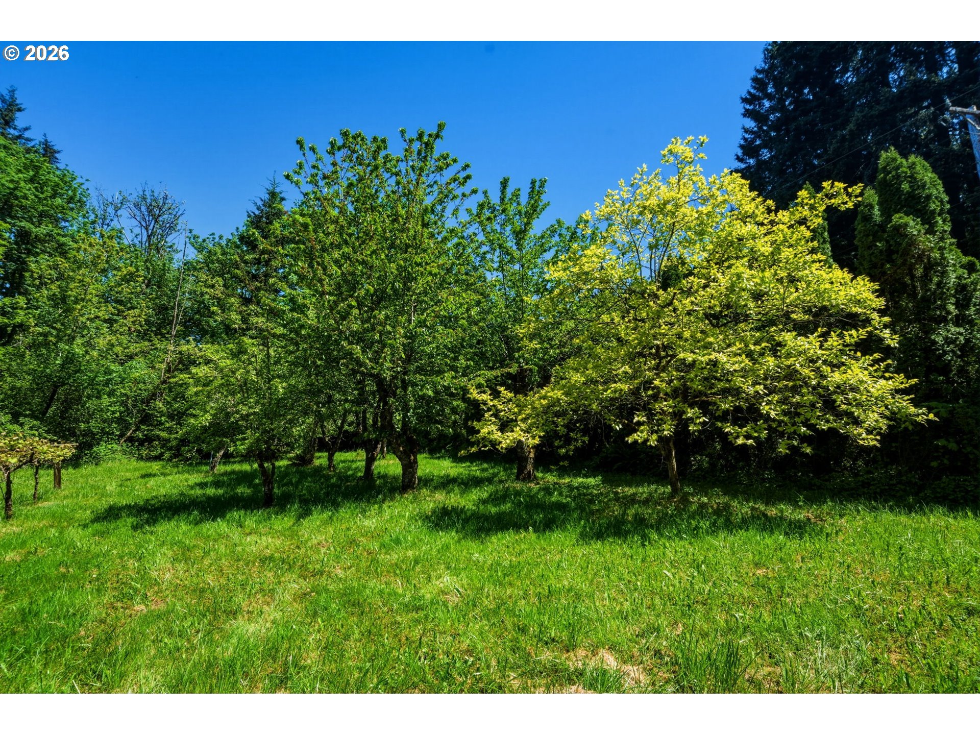 25421 Southeast Sunshine Valley Road Damascus, OR 97089 - Photo 46 of 46