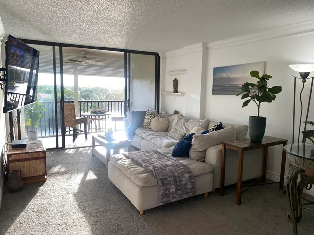 a living room with furniture and a potted plant