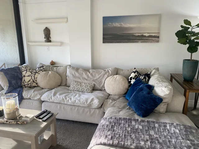 a living room with furniture and a potted plant