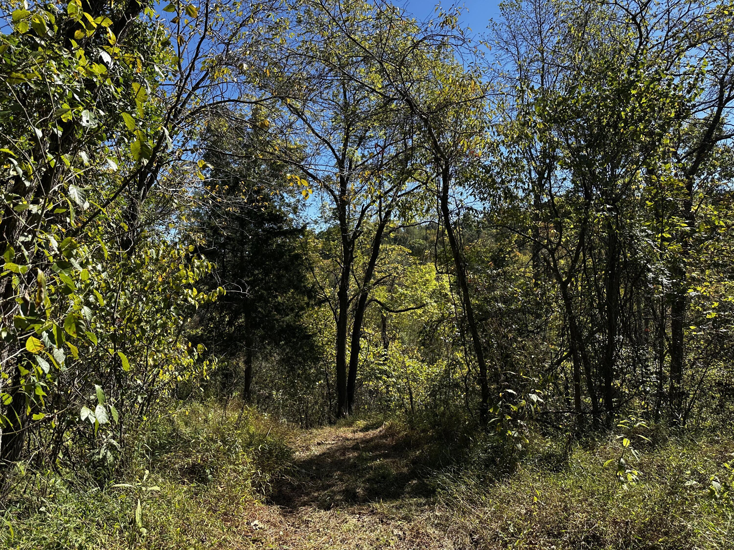 865 Hull Road, Unit TRACT 13 WOODS WAYNE FOREST) Patriot, OH 45658 - Photo 21 of 57 20241008_175030164_iOS