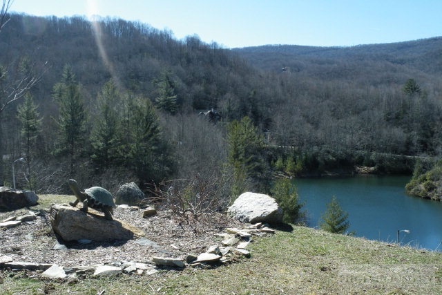 1459 Pine Ridge Road Beech Mountain, NC 28604 - Photo 14 of 25 a view of a lake with a mountain