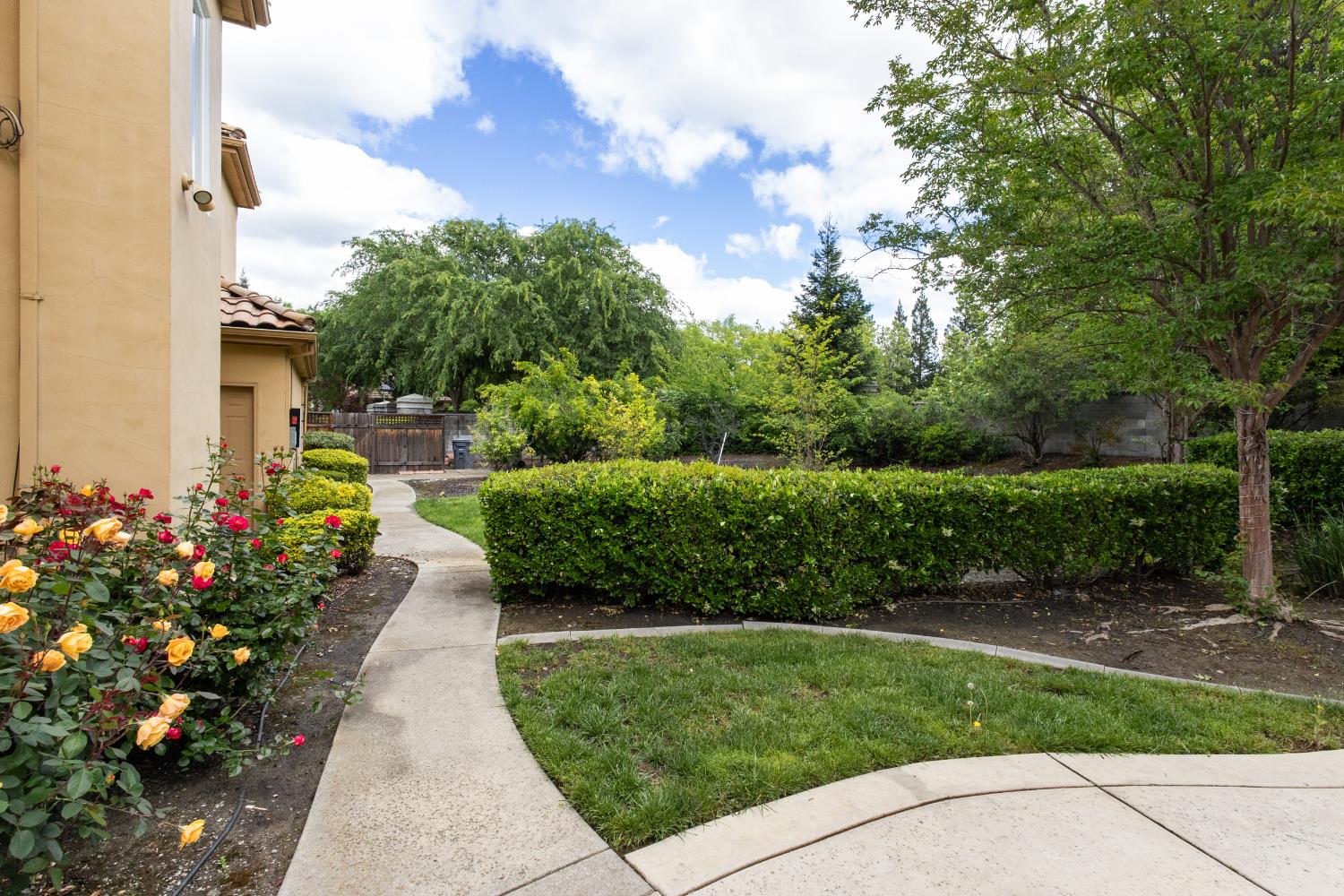 9003 Cedar Ridge Drive Granite Bay, CA 95746 - Photo 55 of 65 a view of a garden with flowers and trees