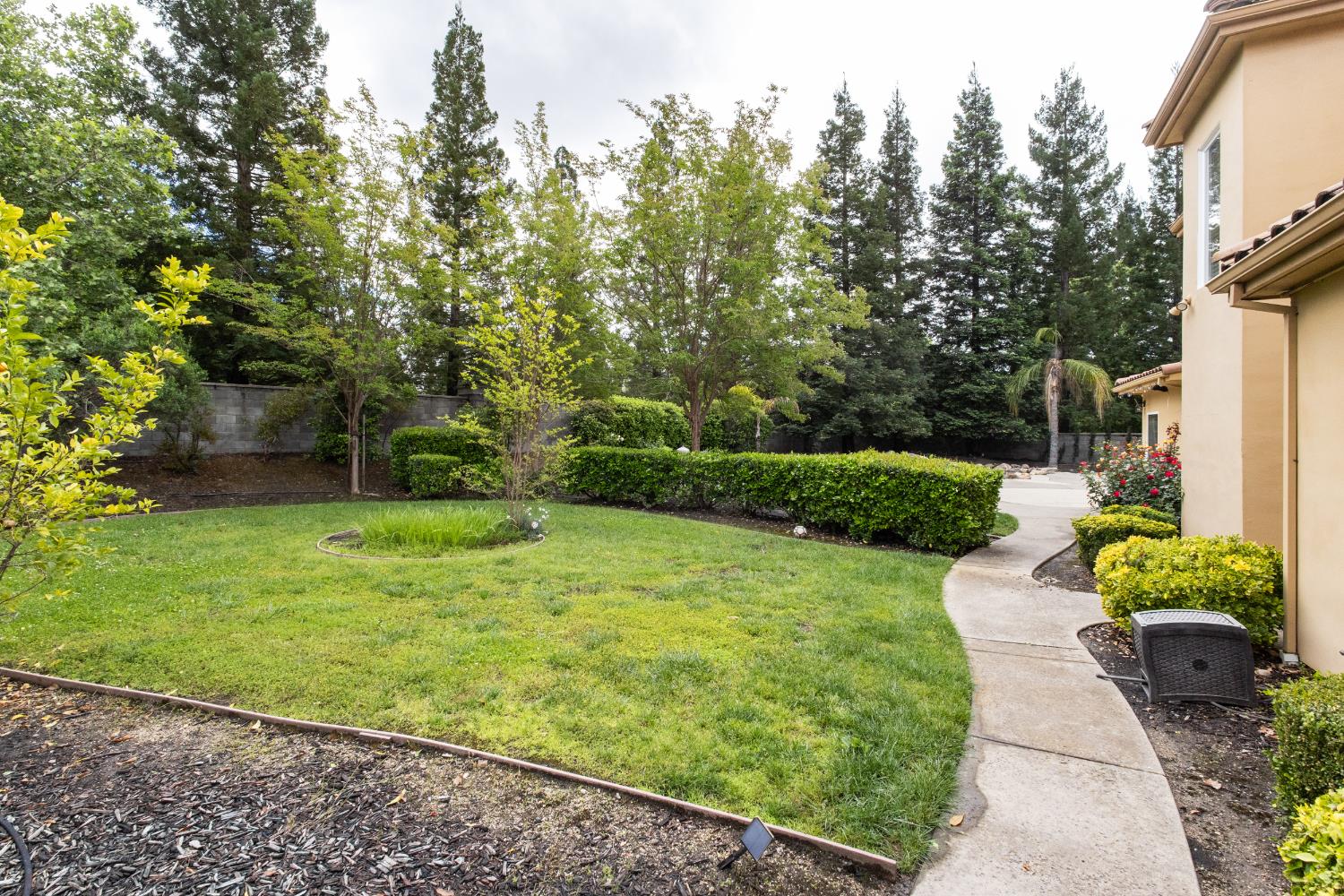 9003 Cedar Ridge Drive Granite Bay, CA 95746 - Photo 56 of 65 a view of a garden with pathway