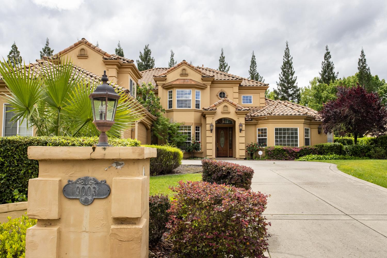 9003 Cedar Ridge Drive Granite Bay, CA 95746 - Photo 6 of 65 a view of a white house with a yard and plants