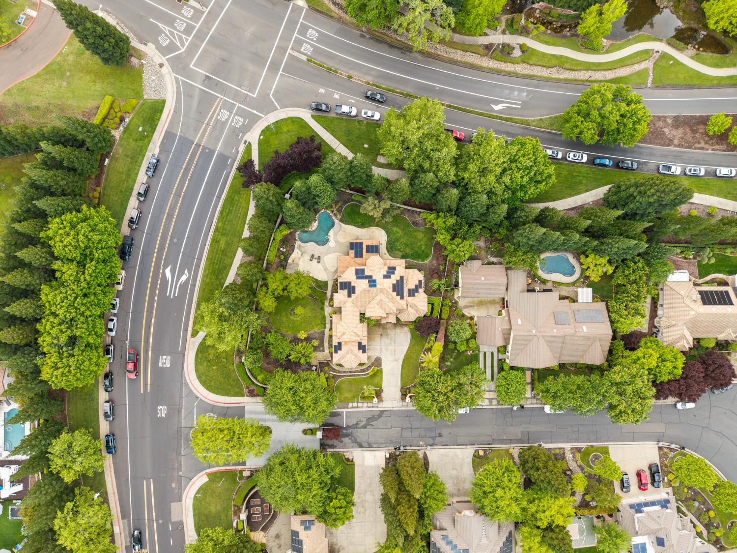 9003 Cedar Ridge Drive Granite Bay, CA 95746 - Photo 62 of 65 a picture of a yard