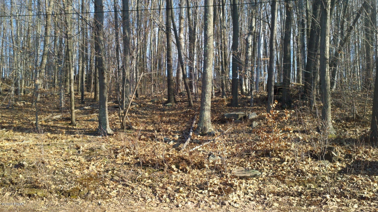 5 Forever Green Road Lakeville, PA 18438 - Photo 8 of 9