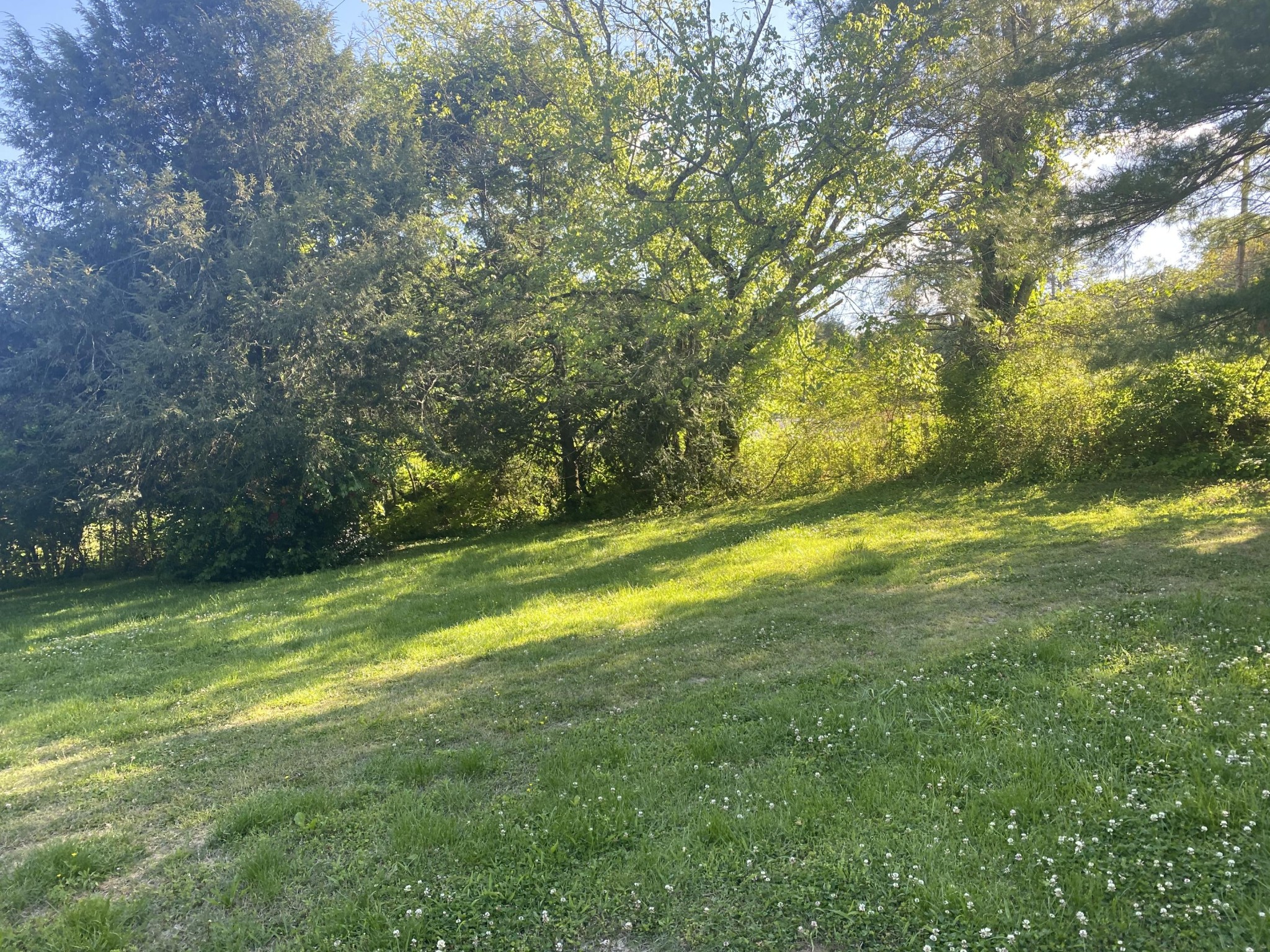 172 Kinser Branch Road Madisonville, TN 37354 - Photo 10 of 13 Gallery Image 10