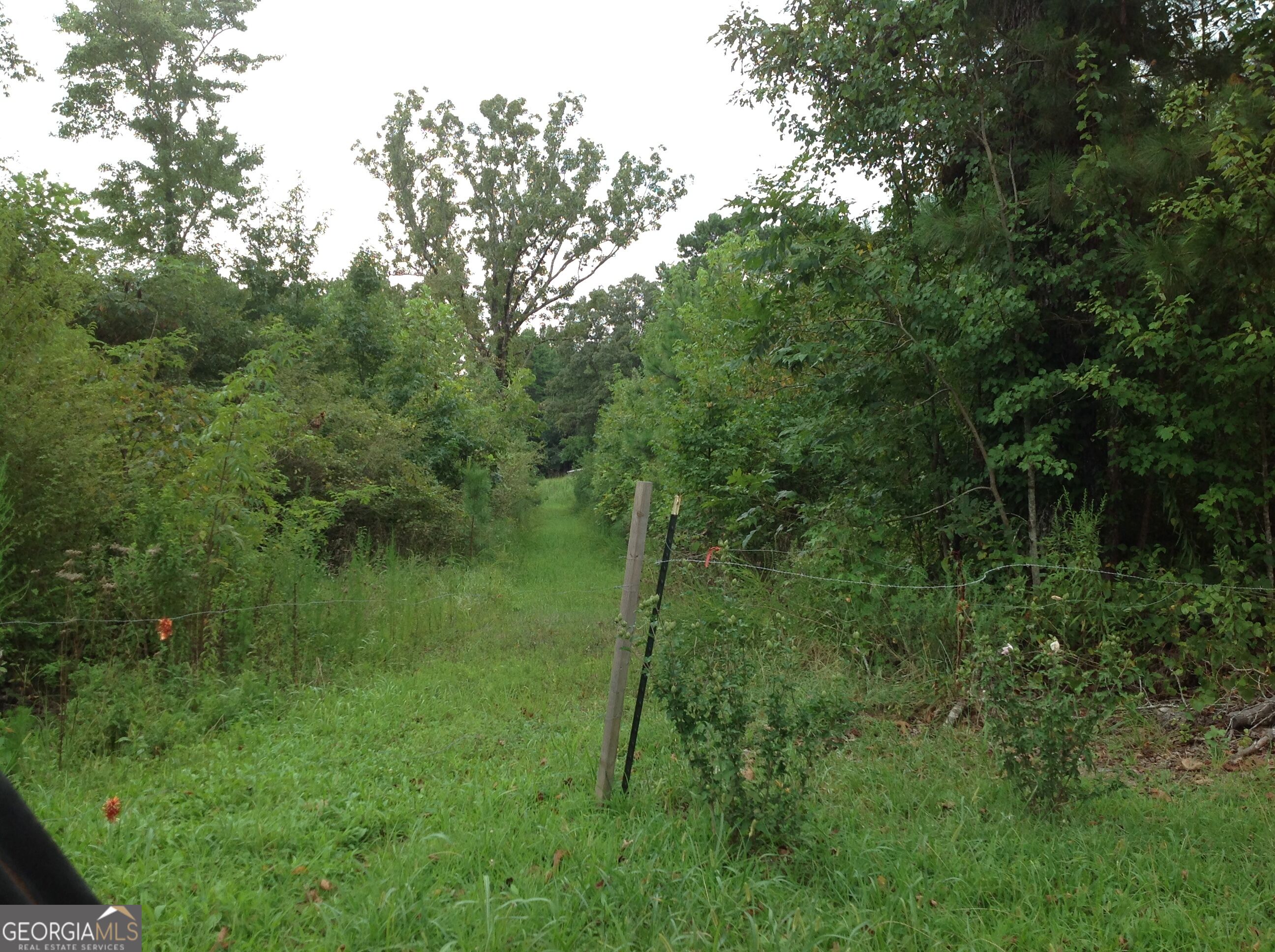 0 Co Rd 49 Muscadine, AL 36269 - Photo 12 of 18 Gallery Image 12