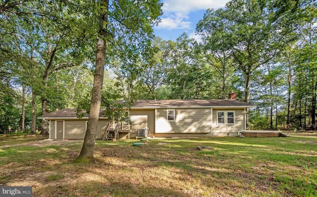 a view of a park with large trees