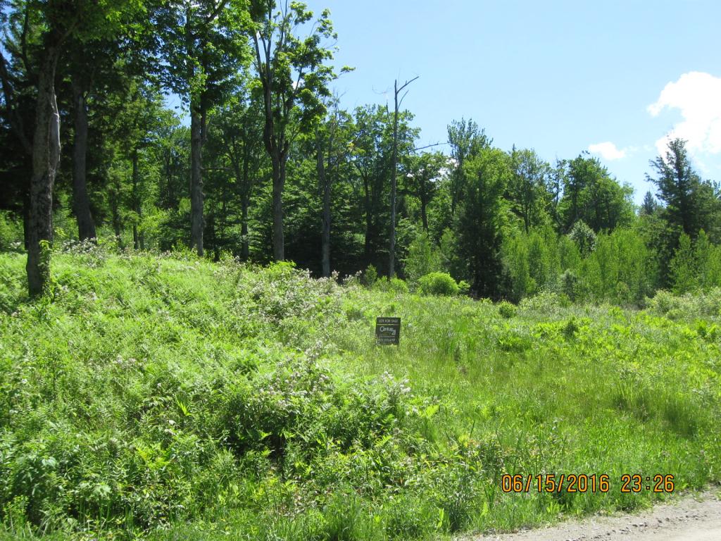 531 Butternut Hollow Road Enosburg Falls, VT 05450 - Photo 11 of 29 Gallery Image 11