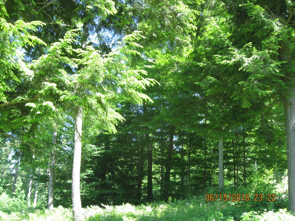 531 Butternut Hollow Road Enosburg Falls, VT 05450 - Photo 13 of 29 Gallery Image 13