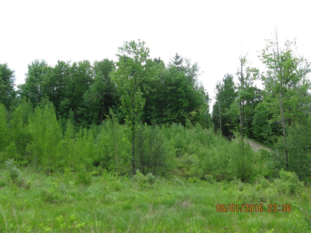 531 Butternut Hollow Road Enosburg Falls, VT 05450 - Photo 14 of 29 Gallery Image 14