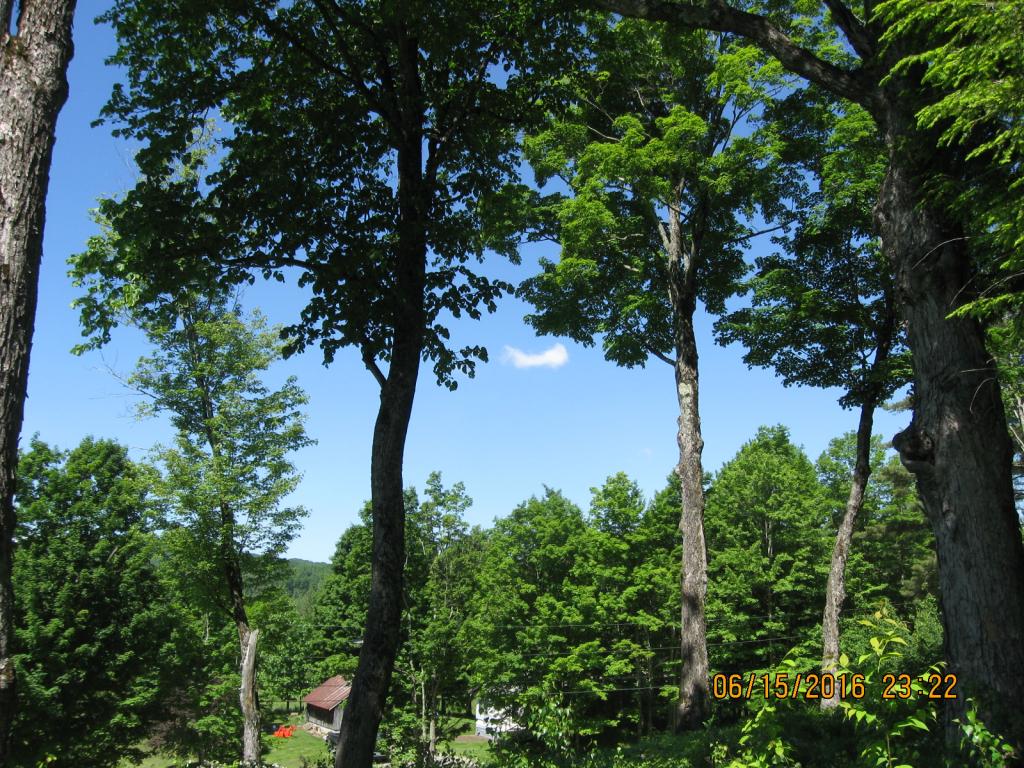 531 Butternut Hollow Road Enosburg Falls, VT 05450 - Photo 15 of 29 Gallery Image 15